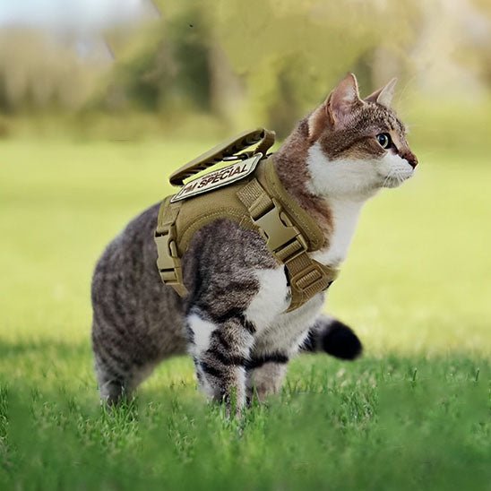 Harnais Chat - Catmando™ - Chat - achat.com