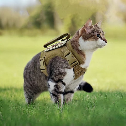 Harnais Chat - Catmando™ - Chat - achat.com