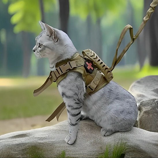 Harnais Chat - Catmando™ - Chat - achat.com