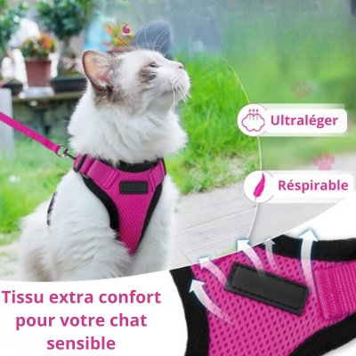 Harnais chat - CatSecure™ - Chat - achat.com