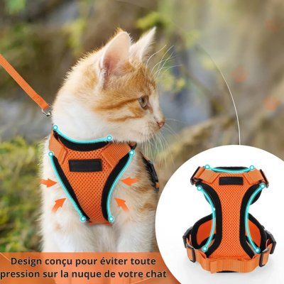 Harnais chat - CatSecure™ - Chat - achat.com