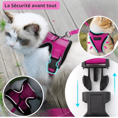 HARNAIS CHAT - CatSecure™ - Chat - achat.com