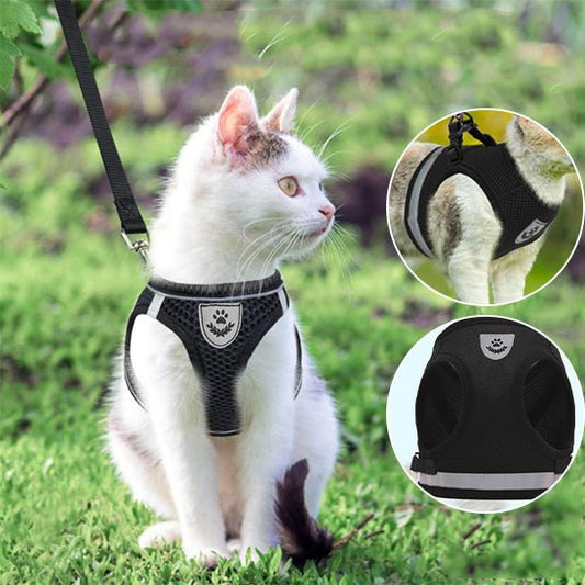 HARNAIS CHAT - FreedomPaws™ - Chat - achat.com