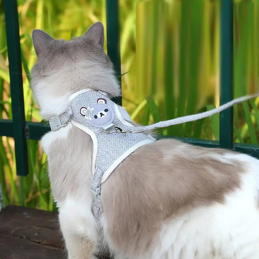 Harnais pour chat - KittyBear™ - Chat - achat.com