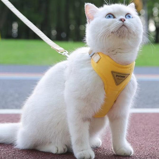 HARNAIS POUR CHAT - Kittygo™ - Chat - achat.com