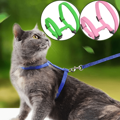 HARNAIS POUR CHAT - Pussyklick™ - Chat - achat.com