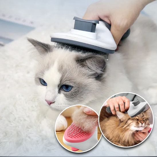 BROSSE POUR CHAT AUTONETTOYANTE - Silkypaws™