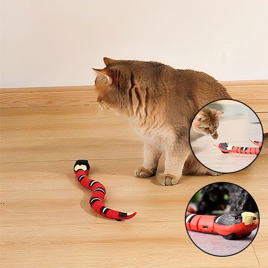Jouet Interactif - Serpentix™ - Chat - achat.com