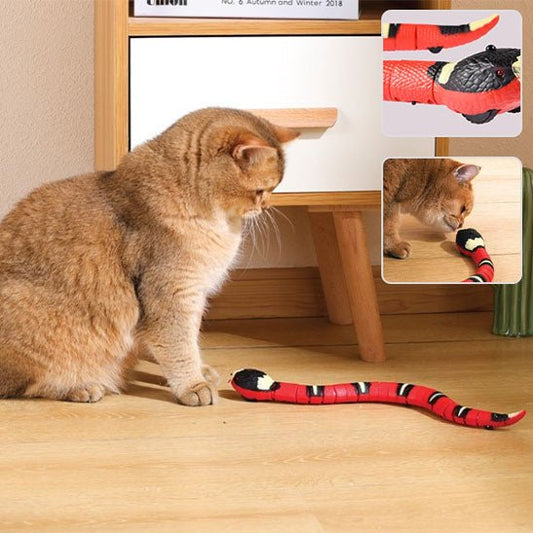Jouet Interactif - Serpentix™ - Chat - achat.com