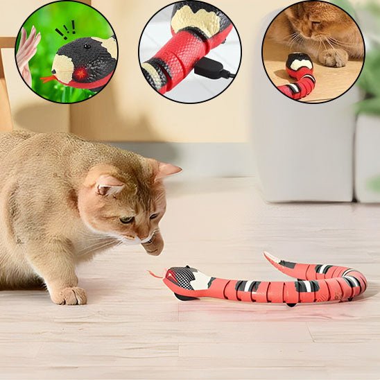 Jouet Interactif - Serpentix™ - Chat - achat.com