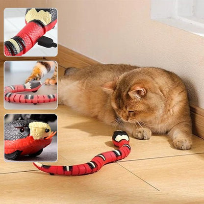 Jouet Interactif - Serpentix™ - Chat - achat.com