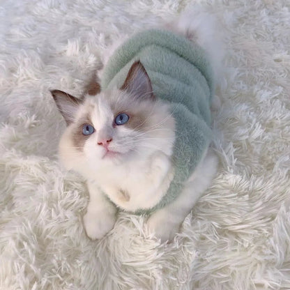 PULL POUR CHAT - SweatCat™ - Chat - achat.com