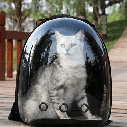 SAC À DOS POUR CHAT - 360 - Chat - achat.com