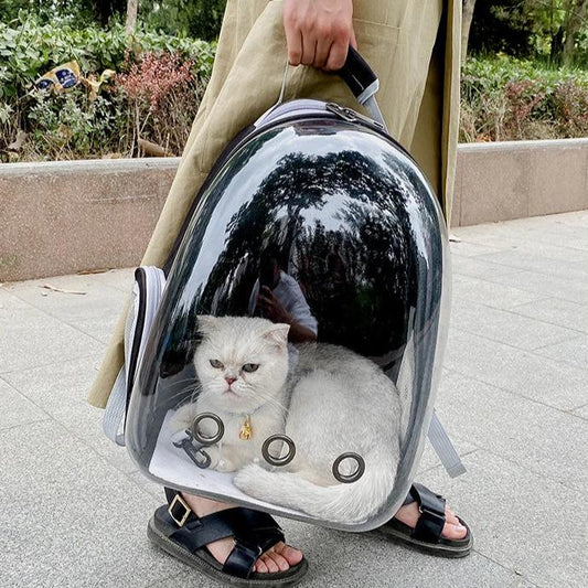 SAC À DOS POUR CHAT - 360 - Chat - achat.com