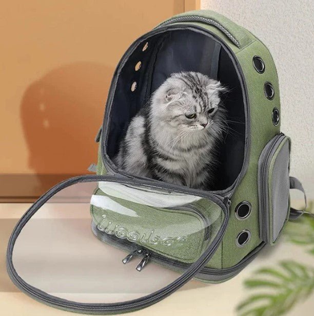 SAC À DOS POUR CHAT - Bulle - Chat - achat.com