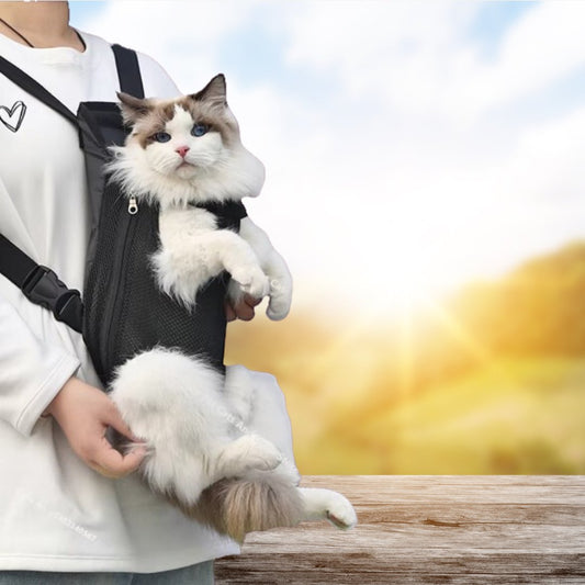 Sac de transport chat - Ventral - Chat - achat.com