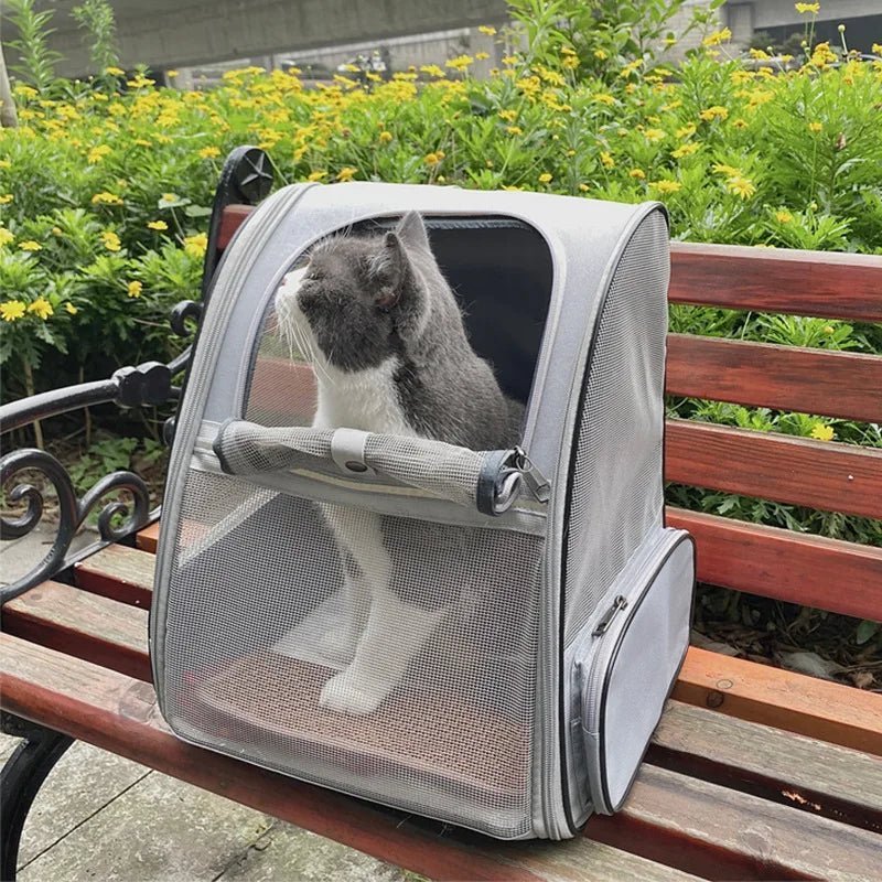 SAC DE TRANSPORT POUR CHAT - CATBACK™ - Chat - achat.com