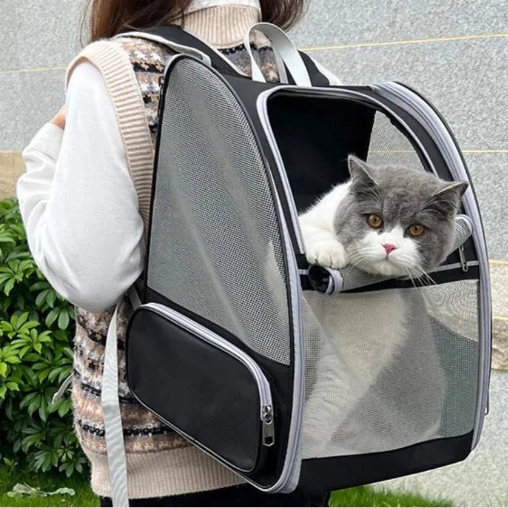 SAC DE TRANSPORT POUR CHAT - CATBACK™ - Chat - achat.com