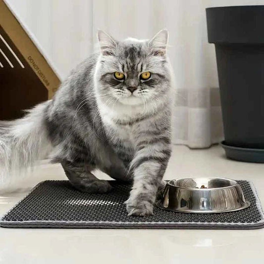 TAPIS LITIÉRE POUR CHAT - CleanMat™ - Chat - achat.com